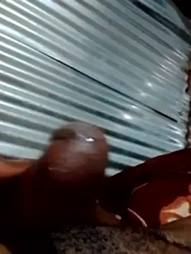 walPssY1 online show from 11-05-25, 11:10