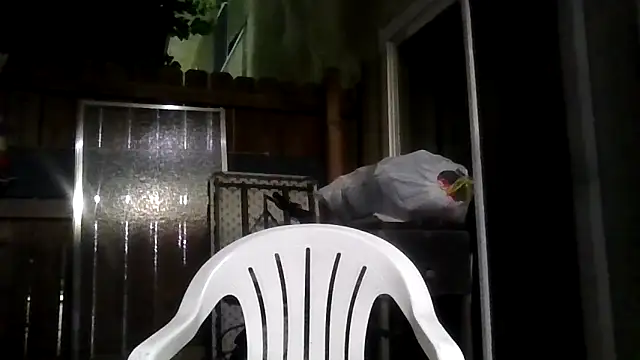 MrDickUdown24 7 online show from 02-09-26, 04:05