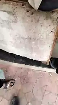 findmemylove online show from 12-22-24, 07:33