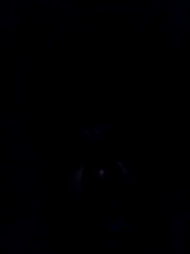 findmemylove online show from 12-29-24, 08:15