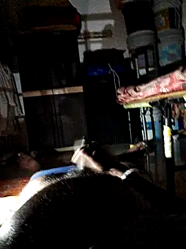 findmemylove online show from 02-12-25, 08:40