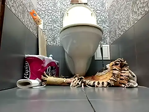 Snapshot of zsd_off chatting on 11-08-25, 12:27 zsd off online show from 11-08-25, 12:27