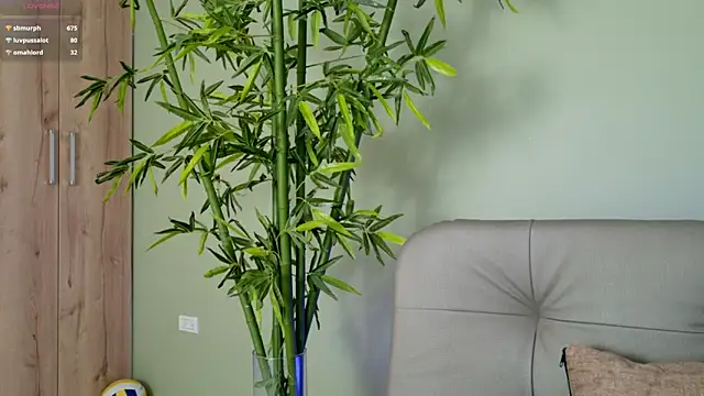 Snapshot of were-Naughty chatting on 02-27-25, 11:15 were-Naughty online show from 02-27-25, 11:15