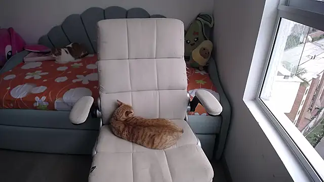  arianalzate  online show from 01-29-25, 08:04