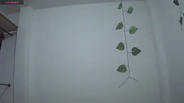 stephybrowm7 online show from 10-28-25, 05:37