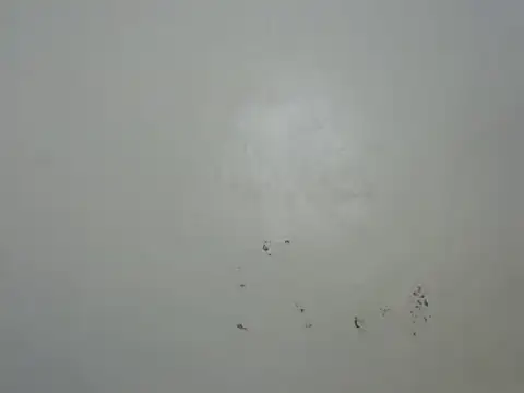 Rasta tattooed online show from 02-06-26, 10:46