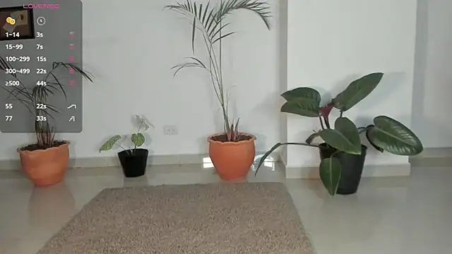 AnaHenao online show from 12-17-25, 11:55