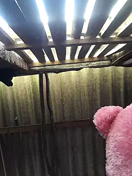 Snapshot of HotSexyBoudi chatting on 09-25-25, 08:51 HotSexyBoudi online show from 09-25-25, 08:51