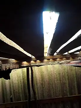 Snapshot of HotSexyBoudi chatting on 09-29-25, 08:41 HotSexyBoudi online show from 09-29-25, 08:41