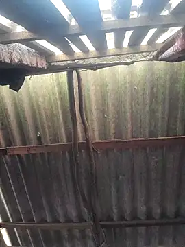 Snapshot of HotSexyBoudi chatting on 10-17-25, 10:07 HotSexyBoudi online show from 10-17-25, 10:07