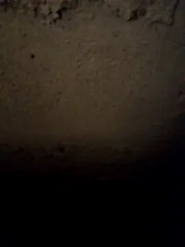 camila picante online show from 03-31-26, 03:56