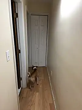 DaddySnowXX online show from 12-16-24, 11:33