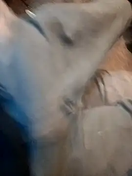 ySqmbVanbe online show from 12-17-25, 09:43