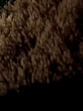 ySqmbVanbe online show from 03-07-26, 01:57