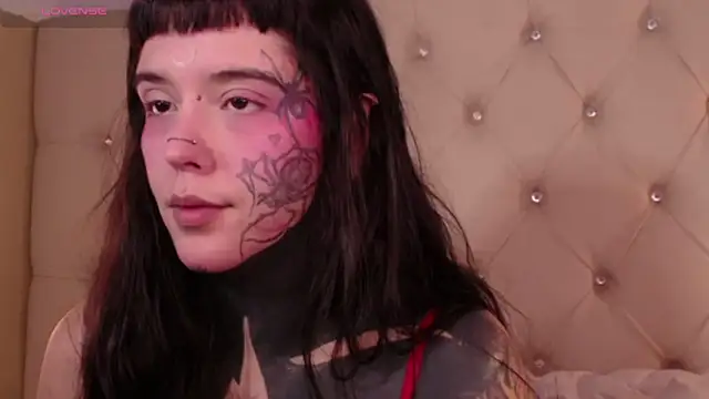 SylveonFox online show from 12-24-24, 01:17