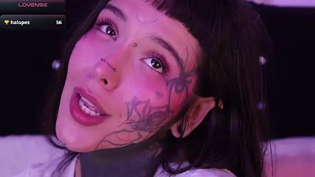 SylveonFox online show from 01-28-25, 08:47