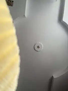 emiss  online show from 10-08-25, 02:14