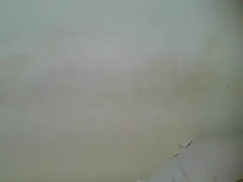 Snapshot of HotJeylee chatting on 02-28-25, 01:25 HotJeylee online show from 02-28-25, 01:25