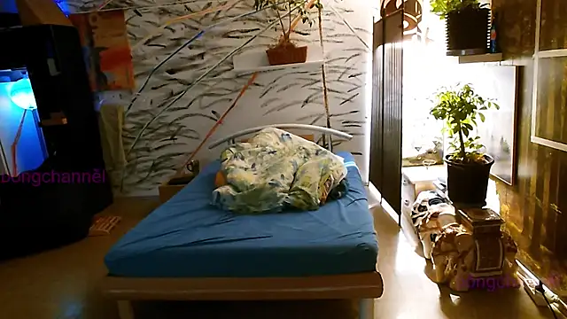 Snapshot of BongChannel chatting on 01-02-25, 11:52 BongChannel online show from 01-02-25, 11:52