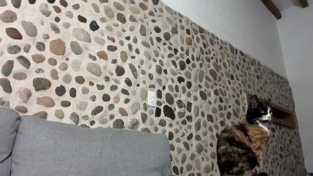 David Brown18 online show from 10-01-25, 03:45