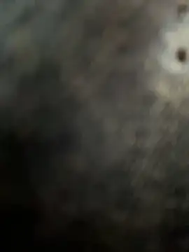 Snapshot of casalinga88 chatting on 03-01-25, 12:56 casalinga88 online show from 03-01-25, 12:56