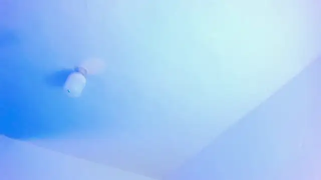 Emily Gil1 online show from 01-21-25, 10:19