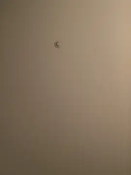 BIGWHITECOCKDOC36 online show from 03-05-25, 01:39