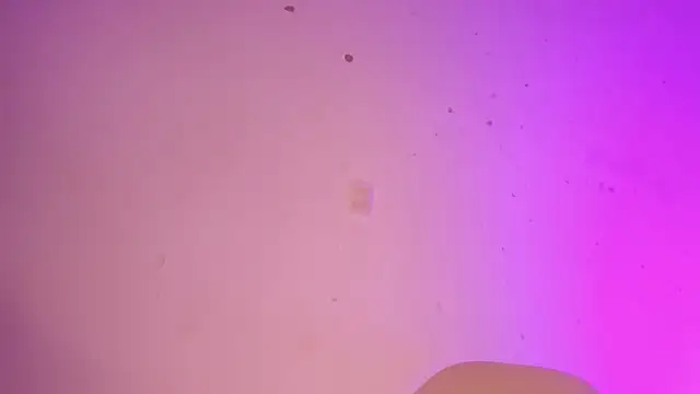 Snapshot of Tahira_21_ chatting on 01-22-25, 10:37 Tahira 21 online show from 01-22-25, 10:37