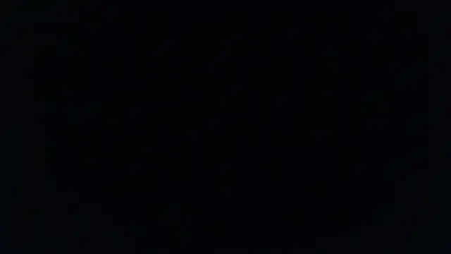 Sofii floyd  online show from 03-22-25, 03:20