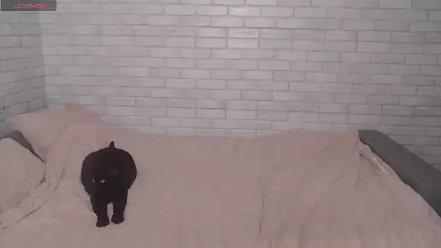 Snapshot of Fuckyoursecretary69 chatting on 12-09-24, 12:19 Fuckyoursecretary69 online show from 12-09-24, 12:19