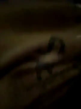 eveangelll online show from 10-21-25, 03:51