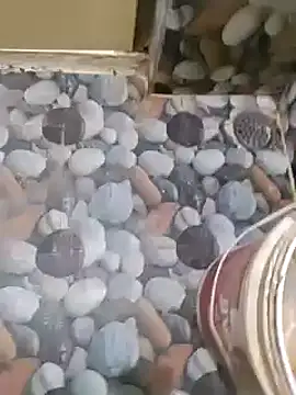 telugumoddahyd online show from 01-26-25, 06:38