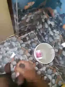 telugumoddahyd online show from 11-01-25, 02:46