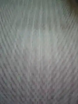 zizi public online show from 03-14-25, 01:59