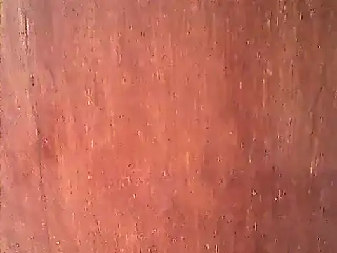 Dirtychubby29 online show from 01-14-25, 04:25