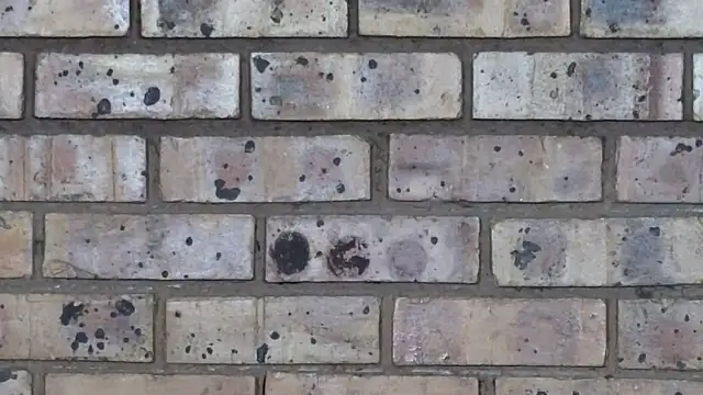 Astoria Moon online show from 02-10-25, 07:07