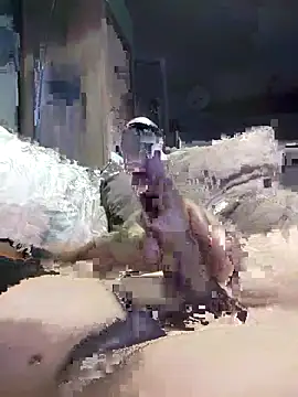 Bi-Sunny online show from 11-17-25, 02:39