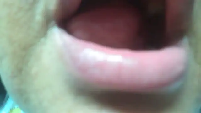 Snapshot of Shanttal0272 chatting on 03-29-26, 04:56 Shanttal0272 online show from 03-29-26, 04:56