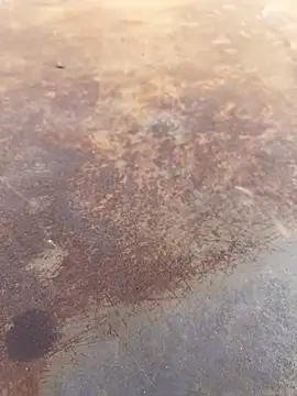 Snapshot of Black-mamba-madingo chatting on 09-28-25, 04:01 Black-mamba-madingo online show from 09-28-25, 04:01