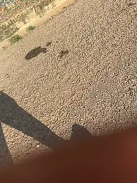 Snapshot of Black-mamba-madingo chatting on 09-30-25, 03:39 Black-mamba-madingo online show from 09-30-25, 03:39