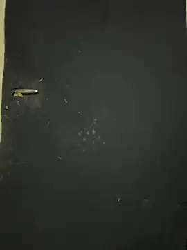 Snapshot of Black-mamba-madingo chatting on 10-09-25, 12:25 Black-mamba-madingo online show from 10-09-25, 12:25