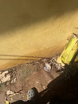 Snapshot of Black-mamba-madingo chatting on 10-10-25, 02:16 Black-mamba-madingo online show from 10-10-25, 02:16