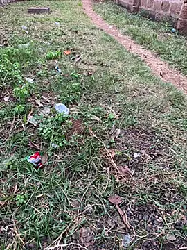 Snapshot of Black-mamba-madingo chatting on 10-29-25, 05:14 Black-mamba-madingo online show from 10-29-25, 05:14