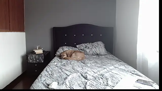 Emilia 1995 online show from 01-09-25, 07:18