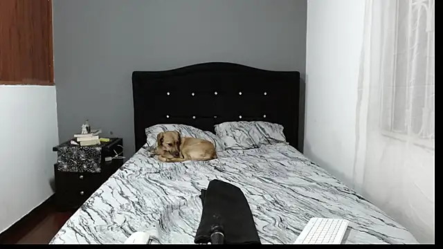 Emilia 1995 online show from 01-21-25, 02:11