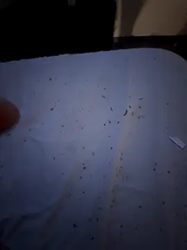 Csucsukahhh online show from 12-30-24, 09:08