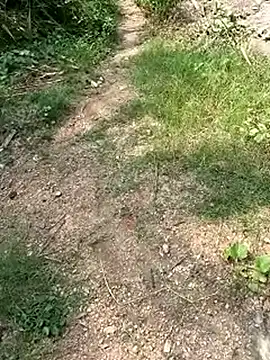 Snapshot of TamizhanKishwin7 chatting on 11-09-25, 08:01 TamizhanKishwin7 online show from 11-09-25, 08:01