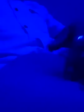 montereal1212 online show from 12-02-24, 03:04