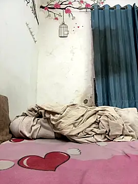 mrtoy121 online show from 01-06-26, 06:11