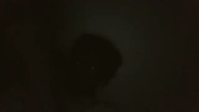 ThatDickSexy2 online show from 09-15-25, 05:18